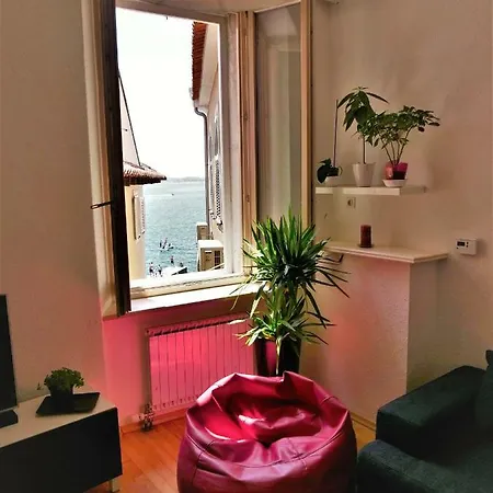 Apartman 3papige Piran