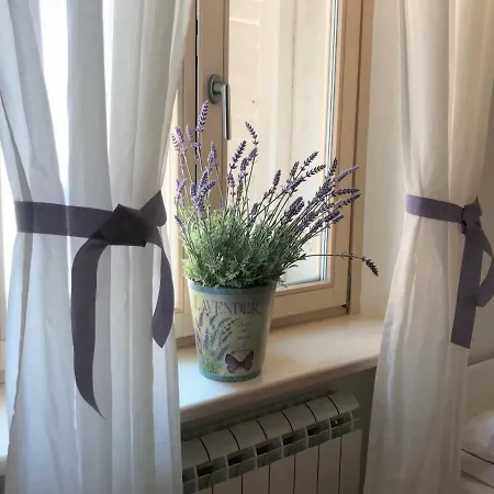 Apartman 3papige Piran